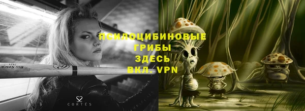 гашик Абдулино