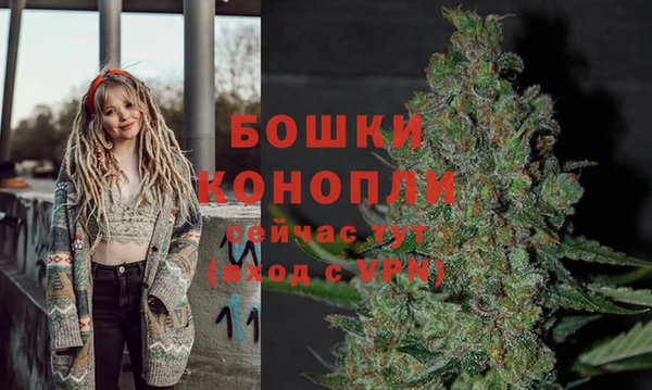 стафф Абаза