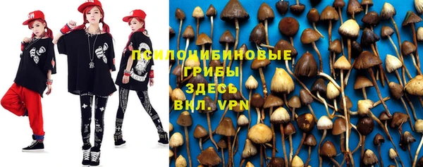 стафф Абаза
