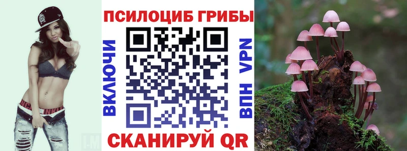 Псилоцибиновые грибы GOLDEN TEACHER  Майский 