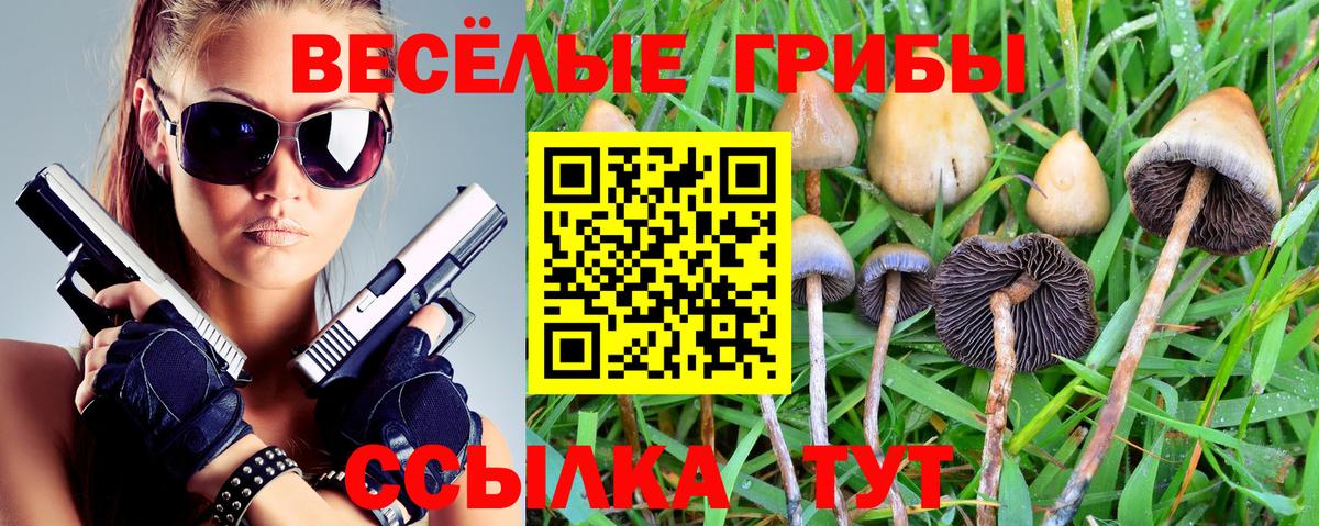 Псилоцибиновые грибы MAGIC MUSHROOMS  Вход с VPN  Псилоцибиновые грибы прущие грибы  Майский 